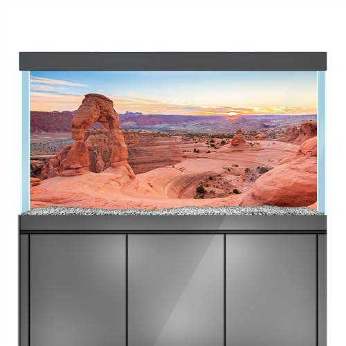 LYYAB Aquarium Hintergrund Aufkleber Felsen Bogen Berg Canyon Aquarium Reptilien Terrarium Dekor Poster (80 x 40 cm) von LYYAB