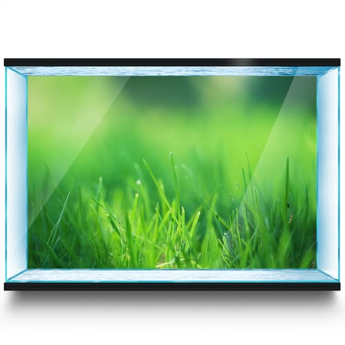 LYYAB Aquarium Hintergrund Aufkleber - Gras Blade Green Nature - Fish Tank Reptile Terrarium Decor Poster (60 x 40 cm) von LYYAB
