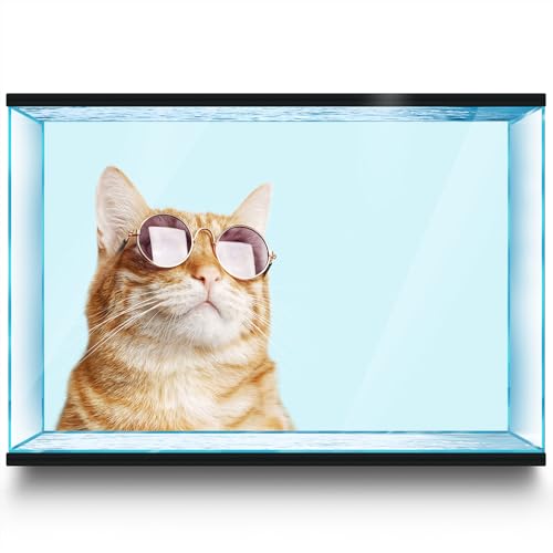 LYYAB Aquarium Hintergrund Aufkleber Katze Sonnenbrille Aquarium Reptilien Terrarium Dekor Poster (45 x 30 cm) von LYYAB
