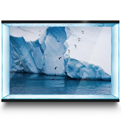 LYYAB Aquarium Hintergrund Aufkleber - Pinguin Gletscher Arktis Selbstklebendes Aquarium Reptilien Terrarium Dekor Poster (120 x 60 cm) von LYYAB