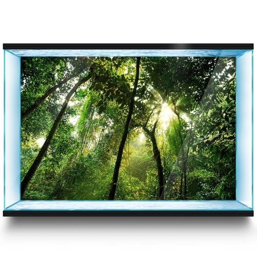 LYYAB Aquarium Hintergrund Aufkleber Wald Sonnenlicht Bäume Aquarium Reptilien Terrarium Dekor Poster (120 x 60 cm) von LYYAB
