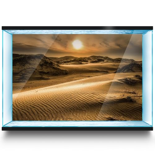 LYYAB Aquarium Hintergrund Aufkleber Wüste Dünen Sonnenuntergang Aquarium Reptilien Terrarium Dekor Poster (60 x 30 cm) von LYYAB