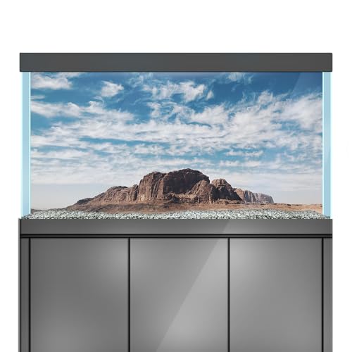 LYYAB Aquarium Hintergrund Aufkleber Wüste Felsen Himmel Aquarium Reptilien Terrarium Dekor Poster (45 x 30 cm) von LYYAB