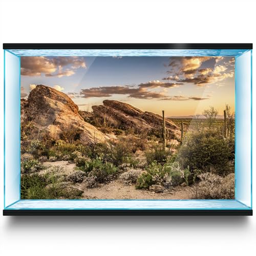 LYYAB Aquarium Hintergrund Aufkleber Wüste Landschaft Fisch Hintergrund Aufkleber für Reptil Terrarium (90 x 60 cm) von LYYAB