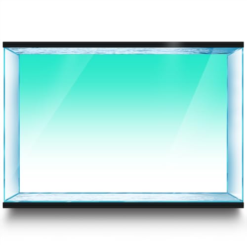 LYYAB Cyan White Gradient Aquarium Hintergrund Aufkleber Fish Tank Reptile Terrarium Decor 60 x 30 cm von LYYAB