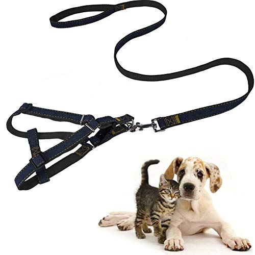 Schleppleine Für Hunde Robuste Leine Dog Leash Hoche Qualität Hund Sicherheitsgurt Hund Leine for Sportliche Aktivitäten Freizeit Alle Größe Hunde Black,Small von LYsng