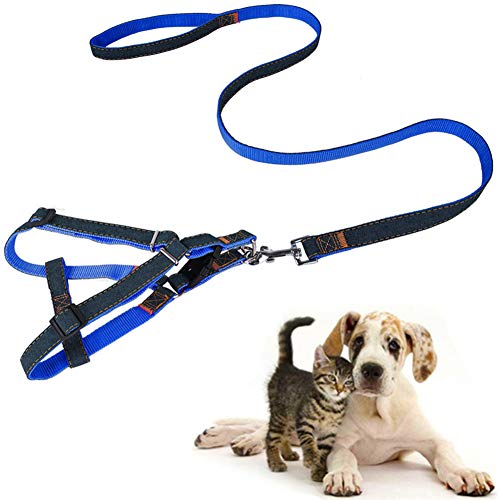 Schleppleine Für Hunde Robuste Leine Dog Leash Hoche Qualität Hund Sicherheitsgurt Hund Leine for Sportliche Aktivitäten Freizeit Alle Größe Hunde Blue,Small von LYsng