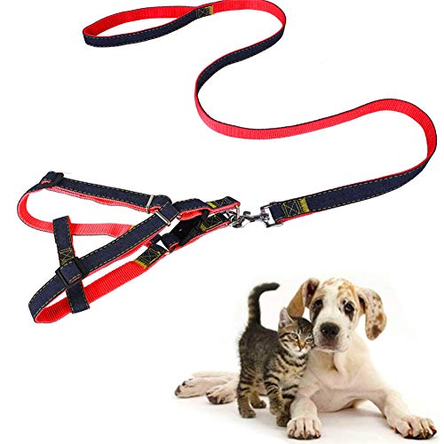 Schleppleine Für Hunde Robuste Leine Dog Leash Hoche Qualität Hund Sicherheitsgurt Hund Leine for Sportliche Aktivitäten Freizeit Alle Größe Hunde red,Small von LYsng