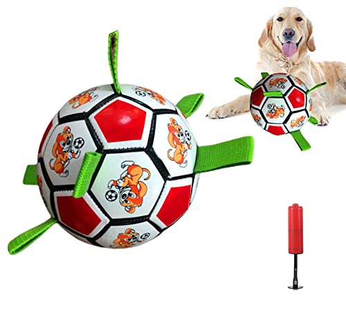 LZHDZQD Hundespielzeug, Hundespielzeug Ball, Hunde Ball, Ball für Hunde,Interaktiver Hundespielzeugball im Innen und Außenbereich (rot) von LZHDZQD