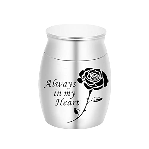 LZHLMCL Mini Urne 40 Mm Kleine Urne Für Asche Mini Asche Andenken Kleine Urne Für Asche Von Menschen Und Haustieren Rose Urne Für Asche Silber von JSBVM