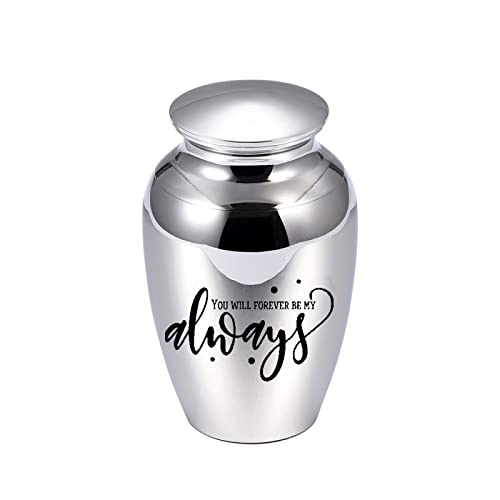 LZHLMCL Urne Klein 70 Mm Aschenbecher Aus Aluminiumlegierung Urne Für Asche Haustier Menschliche Andenken Schatulle Mini Gedenkurnen Silber von LZHLMCL