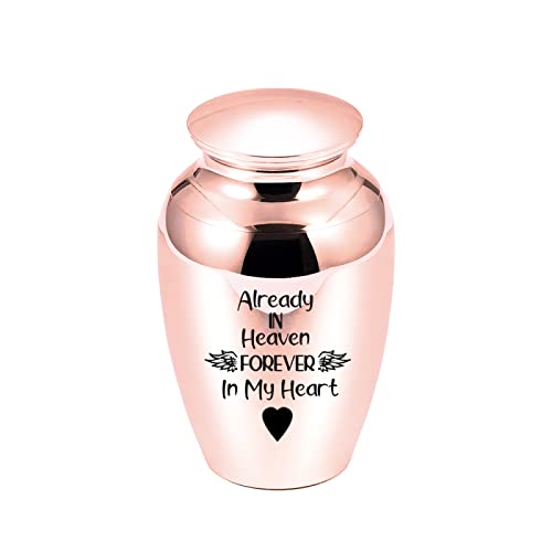 LZHLMCL Urne Klein Human Ashes for Pets Memorials Forever In My Heart Dog Cremation Urn Casket Funeral Pendant Rose Gold 70 * 45Mm von LZHLMCL