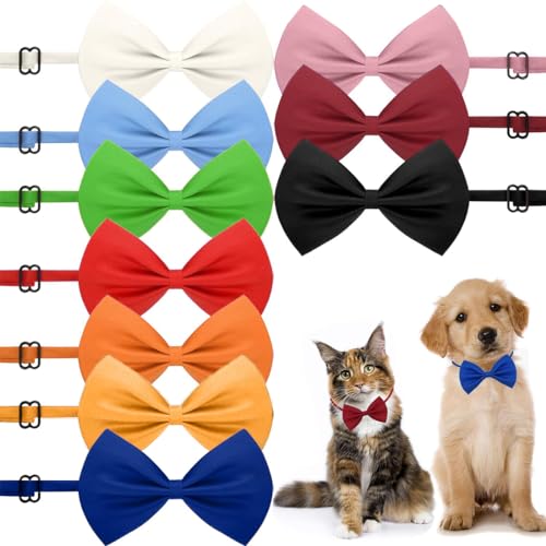 10 Stück Hundehalsbänder mit Fliege in 10 Farben - Klassische, weiche und verstellbare Halsbänder für kleine und mittelgroße Hunde sowie Katzen. 10 Stück Hundehalsbänder mit Fliege in 10 Farben - Klassische, weiche und verstellbare Halsbänder für kleine und mittelgroße Hunde sowie Katzen. von LZKHEH