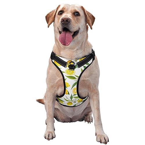 Atmungsaktives und verstellbares Hundegeschirr mit Leine, Blumen-Blatt-Zitronen-Hundegeschirr für große, mittelgroße und kleine Hunde von LZNJZ
