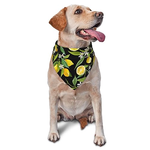 Dreieckiges Hundehalstuch, leicht, Blumenblatt, Zitrone, Hundehalstücher für große, mittelgroße und kleine Hunde und Katzen von LZNJZ