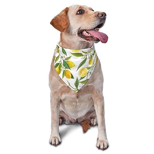 Dreieckiges Hundehalstuch, leicht, Blumenblatt, Zitrone, Hundehalstücher für große, mittelgroße und kleine Hunde und Katzen von LZNJZ
