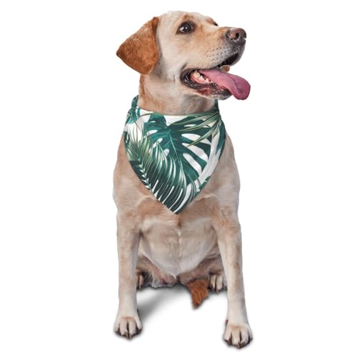 Dreieckiges Hundehalstuch, leicht, Motiv: grüne Monstera-Blätter, Hundehalstücher für große, mittelgroße und kleine Hunde und Katzen Dreieckiges Hundehalstuch, leicht, Motiv: grüne Monstera-Blätter, Hundehalstücher für große, mittelgroße und kleine Hunde und Katzen von LZNJZ
