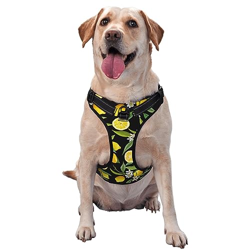 Hundegeschirr, atmungsaktiv und verstellbar, ohne Leine, Blumenblatt, Zitrone, für große, mittelgroße und kleine Hunde von LZNJZ