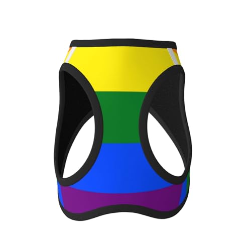 Hundegeschirr für kleine Hunde mit Leine, buntes schlichtes Regenbogen-Hundegeschirr Hundegeschirr für kleine Hunde mit Leine, buntes schlichtes Regenbogen-Hundegeschirr von LZNJZ