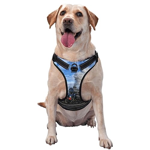 Hundegeschirr mit Leine und verstellbar, für große, mittelgroße und kleine Hunde Hundegeschirr mit Leine und verstellbar, für große, mittelgroße und kleine Hunde von LZNJZ