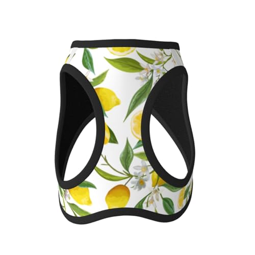 Leichtes Hundegeschirr für kleine Hunde, Blumenblatt, Zitronengelb von LZNJZ