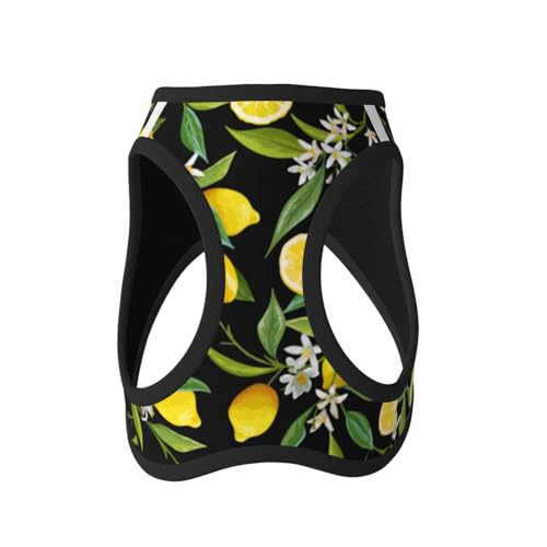Leichtes Hundegeschirr für kleine Hunde, Blumenblatt, Zitronengelb Leichtes Hundegeschirr für kleine Hunde, Blumenblatt, Zitronengelb von LZNJZ