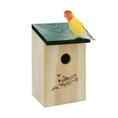 LZRS Vogelhaus aus Zedernholz für draußen – handgefertigter Nistkasten aus Holz mit leicht zu reinigendem aufklappbarem Dach, zieht Blauvögel, Schraubenschlüssel, Finken und Schwalben an von LZRS