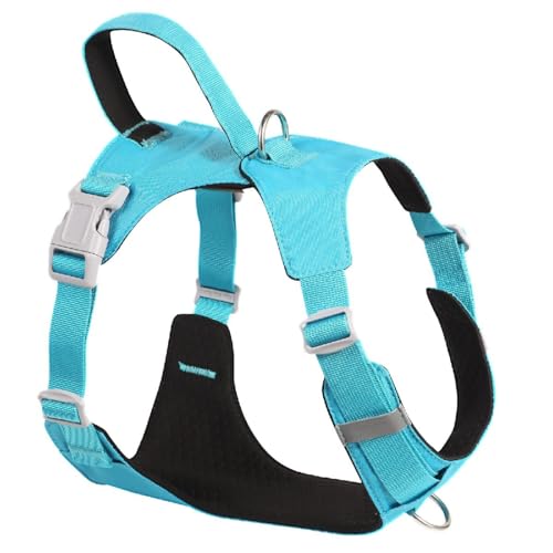 LZXLXS Hundegeschirr mit Griff, kein Ziehen, verstellbare Haustierweste mit weicher Polsterung für kleine, mittelgroße und große Hunde, Blau, Größe L LZXLXS Hundegeschirr mit Griff, kein Ziehen, verstellbare Haustierweste mit weicher Polsterung für kleine, mittelgroße und große Hunde, Blau, Größe L von LZXLXS