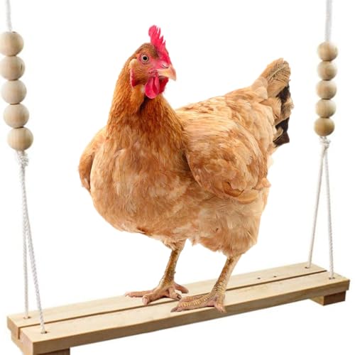 Hühnerschaukel, Holz Hühnerspielzeug Langlebig Hühnerstall Zubehör Hühnerzubehör für Hühner Hängeschaukel Sitzstange Hängespielzeug für Huhn Papagei Training Hühnerschaukel, Holz Hühnerspielzeug Langlebig Hühnerstall Zubehör Hühnerzubehör für Hühner Hängeschaukel Sitzstange Hängespielzeug für Huhn Papagei Training von LZYDKH