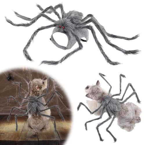 Halloween-Kostüm für Haustiere, Spinne für Katzen und Hunde, bequemes und verstellbares Halloween-Kostüm für kleine und mittelgroße Haustiere, lustiges und auffälliges Design für Urlaubspartys Halloween-Kostüm für Haustiere, Spinne für Katzen und Hunde, bequemes und verstellbares Halloween-Kostüm für kleine und mittelgroße Haustiere, lustiges und auffälliges Design für Urlaubspartys von LZYWOD