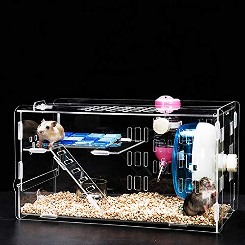 Transparenter Acryl Kleintierkäfig Hamsterhaus mit Wasserflasche Laufrad Kletterleiter Rennmaus Terrarium von LZYYZL