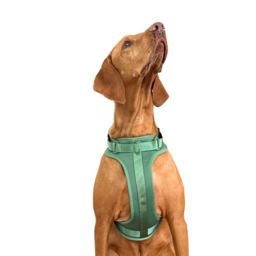 Hundegeschirr gegen Ziehen, verstellbar, bequem und robust, für kleine, mittlere und große Rassen, für sichere Spaziergänge ohne Ziehen, La Casa de Turrón (Dschungel (Grün, L) von La Casa de Turrón