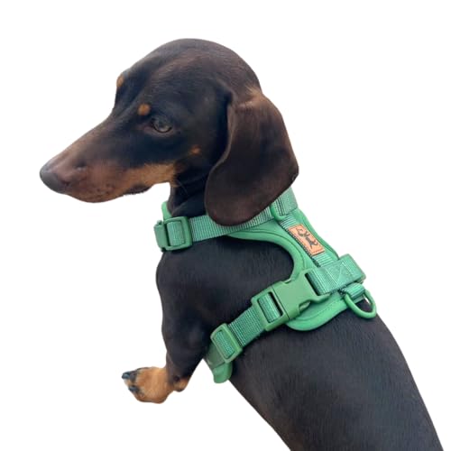 Hundegeschirr gegen Ziehen, verstellbar, bequem und robust, für kleine, mittlere und große Rassen, für sichere Spaziergänge ohne Ziehen, La Casa de Turrón (Dschungel (Grün, XS) von La Casa de Turrón