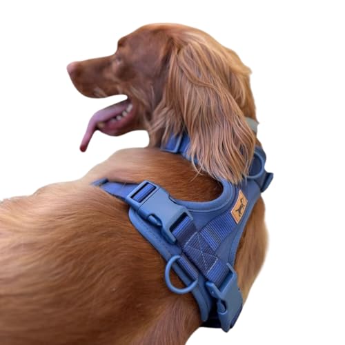 Hundegeschirr gegen Ziehen, verstellbar, bequem und robust, ideal für kleine, mittelgroße und große Rassen, für sichere Spaziergänge ohne Ziehen, La Casa de Turrón (Ocean (Blau, M) von La Casa de Turrón
