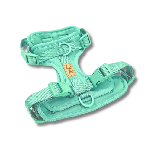 Hundegeschirr gegen Ziehen – verstellbar und bequem – kleine, mittlere und große Rassen – sicher und ohne Ziehen – La Casa de Turrón (Mint (Türkis), S (Hals 24-34 cm, Brust 33-49 cm)) von La Casa de Turrón