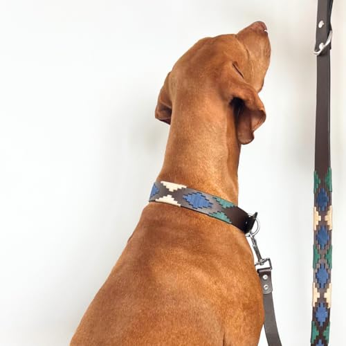 Robustes und luxuriöses Lederhalsband für elegante Hunde (Breite 2,5 cm - 3 cm) - Premium-Handwerkskunst, Größen XS-XL (29-39 cm, Iguazu-Halsband) von La Casa de Turrón