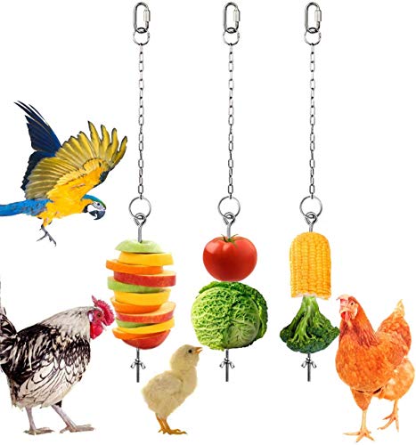Spieß für Hühner, Gemüse, Obst, Futterhalter, Huhn, Spielzeug für Hühner, 3 Stück von La Desire