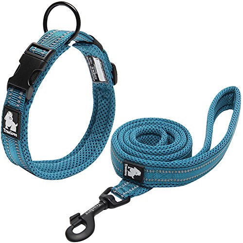 Creation Core Reflektierende Nylon Hunde Halsband und Leine Training Set für All Season Gepolsterte strapazierfähigem Verstellbare, XXXL(23.6-25.6"), Blau von La La Pet