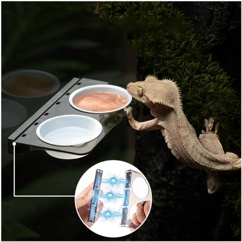 La La Pet® Magnetischer Futterspender für Reptilien, Tierfutterstation mit 2 Kunststoffnäpfen, Reptilien-Wassernapf für Eidechse, Spinne, Gecko von La La Pet