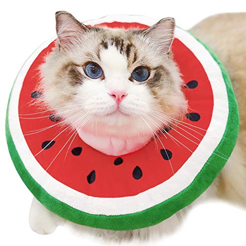 La La Pet® Verstellbares Halsband mit Kegelmotiv, weich, Elizabeth-Kreis, für Hunde und Katzen, rote Wassermelone, Größe M von La La Pet