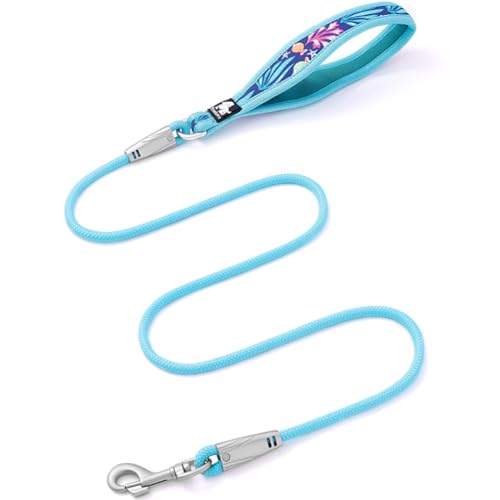 La La Pet Ausbruchsichere Hundeleine für kleine bis mittelgroße Hunde, leichte Haustierleine für Outdoor, Spaziergänge, Laufen, Training, Blau, 1,2 m La La Pet Ausbruchsichere Hundeleine für kleine bis mittelgroße Hunde, leichte Haustierleine für Outdoor, Spaziergänge, Laufen, Training, Blau, 1,2 m von La La Pet