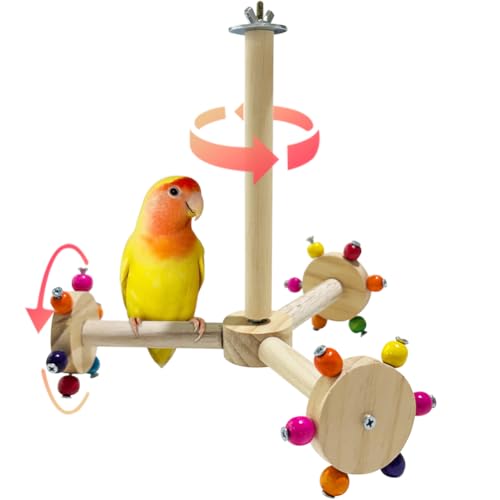 La La Pet Drehbare Papageien-Sitzstange, drehbar, Holz, Windmühle, hängende Sitzstange mit bunten Perlen, lustiges Vogelkäfig-Spielzeug für Sittiche La La Pet Drehbare Papageien-Sitzstange, drehbar, Holz, Windmühle, hängende Sitzstange mit bunten Perlen, lustiges Vogelkäfig-Spielzeug für Sittiche von La La Pet