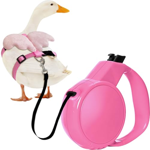 La La Pet Entengeschirr mit Zugseil, verstellbarer Brustgurt, automatisch einziehbare Leine, 3 m, weiche Haustierweste, Set, Outdoor-Spaziergänge, Zubehör für Enten, Huhn, Gans, Rosa, Größe XS La La Pet Entengeschirr mit Zugseil, verstellbarer Brustgurt, automatisch einziehbare Leine, 3 m, weiche Haustierweste, Set, Outdoor-Spaziergänge, Zubehör für Enten, Huhn, Gans, Rosa, Größe XS von La La Pet