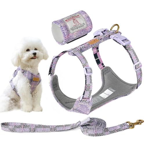 La La Pet Hundegeschirr, Leine mit Kotbeutelhalter, ausbruchsicher, Haustierweste für Spaziergänge im Freien, leichtes Halsband und Leine, Set für kleine, mittelgroße und große Hunde, Lila, Größe S La La Pet Hundegeschirr, Leine mit Kotbeutelhalter, ausbruchsicher, Haustierweste für Spaziergänge im Freien, leichtes Halsband und Leine, Set für kleine, mittelgroße und große Hunde, Lila, Größe S von La La Pet