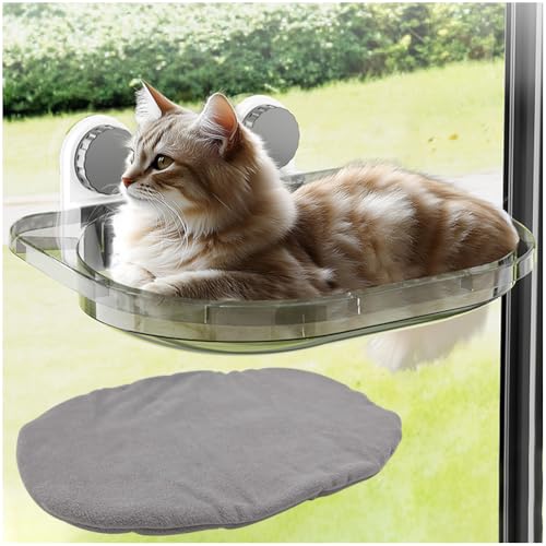 La La Pet Katzenbett mit Saugnapf, transparent, für alle Jahreszeiten, Fensterstange für Haustiere, Sonnenbaden, Hängemattennest von La La Pet