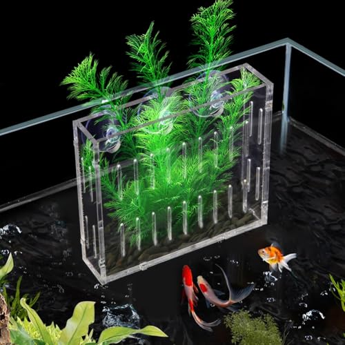 La La Pet Mini-Saugnapf aus Acryl für Wasserpflanzen, transparenter Wasserpflanzen-Topfhalter für Aquarium, Aquarium-Dekoration, groß La La Pet Mini-Saugnapf aus Acryl für Wasserpflanzen, transparenter Wasserpflanzen-Topfhalter für Aquarium, Aquarium-Dekoration, groß von La La Pet