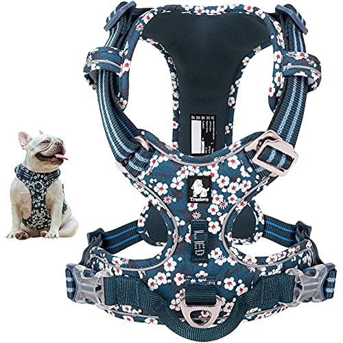 La La Pet No Pull Hundegeschirr mit Frontclip, Reflektierende Hundeweste Geschirr mit Griff, Floral Neopren gepolsterte Hundeweste für Welpen, kleine, 3 Schnappschnallen, einfaches An- und Ausziehen von La La Pet