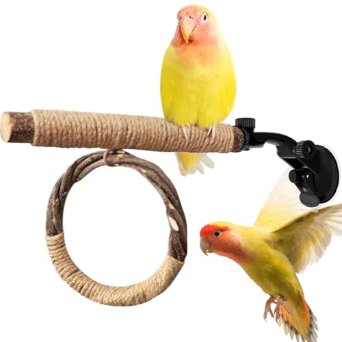 La La Pet Saugnapf Vogelstange Schaukel und Ring Set Saugnapf Vogel Standregal Multifunktionales Holz Papagei Spielzeug für kleine und mittelgroße Vögel Nymphensittiche Sittiche Lovebirds Medium La La Pet Saugnapf Vogelstange Schaukel und Ring Set Saugnapf Vogel Standregal Multifunktionales Holz Papagei Spielzeug für kleine und mittelgroße Vögel Nymphensittiche Sittiche Lovebirds Medium von La La Pet