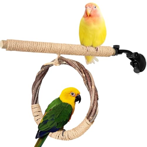 La La Pet Saugnapf Vogelstange Schaukel und Ring Set Saugnapf Vogel Standregal Multifunktionales Holz Papagei Spielzeug für kleine und mittelgroße Vögel Nymphensittiche Sittiche Lovebirds groß La La Pet Saugnapf Vogelstange Schaukel und Ring Set Saugnapf Vogel Standregal Multifunktionales Holz Papagei Spielzeug für kleine und mittelgroße Vögel Nymphensittiche Sittiche Lovebirds groß von La La Pet
