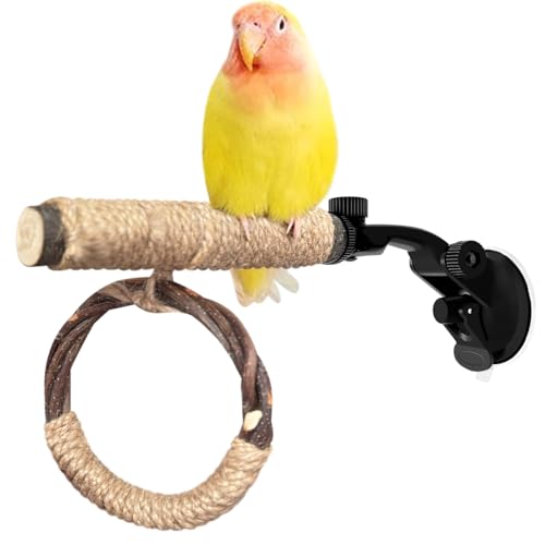 La La Pet Saugnapf Vogelstange Schaukel und Ring Set Saugnapf Vogel Standregal Multifunktionales Holz Papagei Spielzeug für kleine und mittelgroße Vögel Nymphensittiche Sittiche Lovebirds klein La La Pet Saugnapf Vogelstange Schaukel und Ring Set Saugnapf Vogel Standregal Multifunktionales Holz Papagei Spielzeug für kleine und mittelgroße Vögel Nymphensittiche Sittiche Lovebirds klein von La La Pet